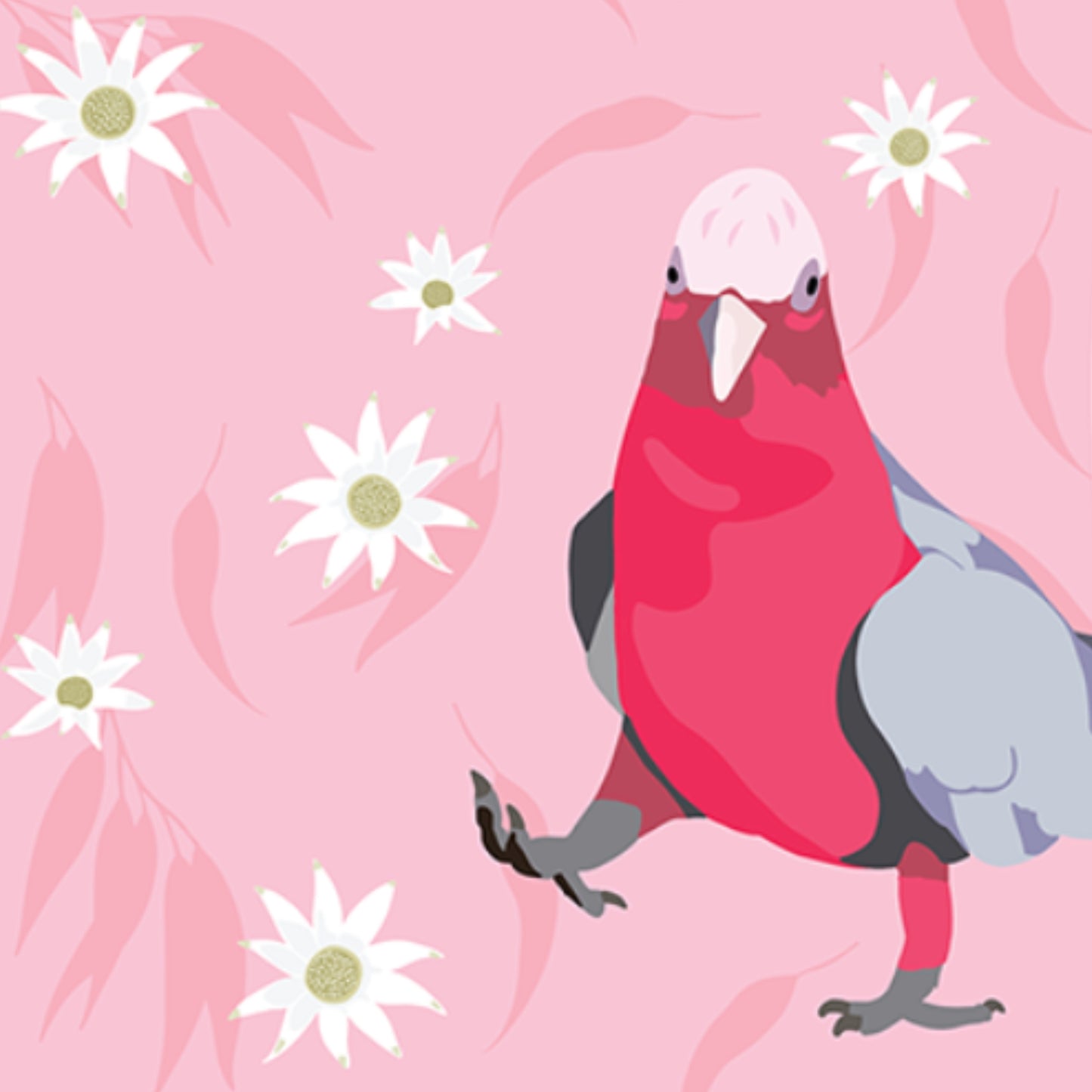 Polly-Cockatoo-Galah-Australian-Birds-RainbowsAndFairies.com.au-POLLY_ORG-04